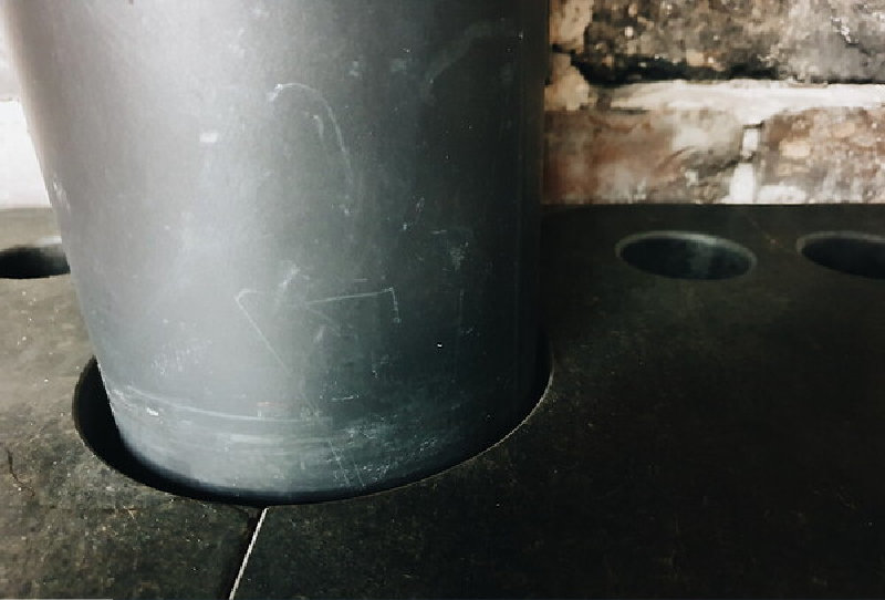 Processed with VSCO with a6 preset